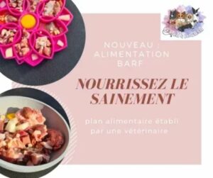 Plan alimentaire - BARF - élaborée par une vétérinaire – Image 2